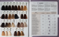 Preview: Lisap Filter Douscolor - Color Chart