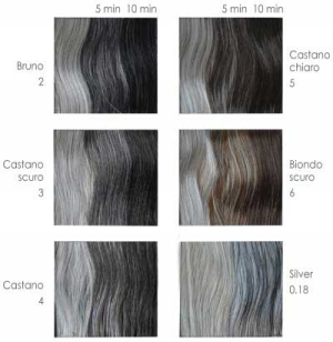 Dandy Hair Color for Men - Haarfarbe für den Herren ohne Ammoniak - 60 ml