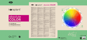 Lisap Keraplant Absolute Color - Farbkarte