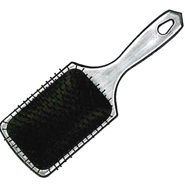 SANSHIN  Classic Paddle Brush