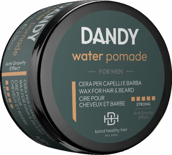 Dandy Water Pomade 100 ml Th ringer Haarshop Hairpure