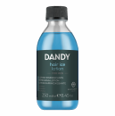 Dandy Hair Ice Lotion - Menthol-Lotion - 250 ml