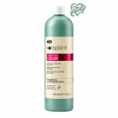 Lisap Keraplant Absolute Color - Post-Color Conditioner - Farbnachpflege - 1000 ml